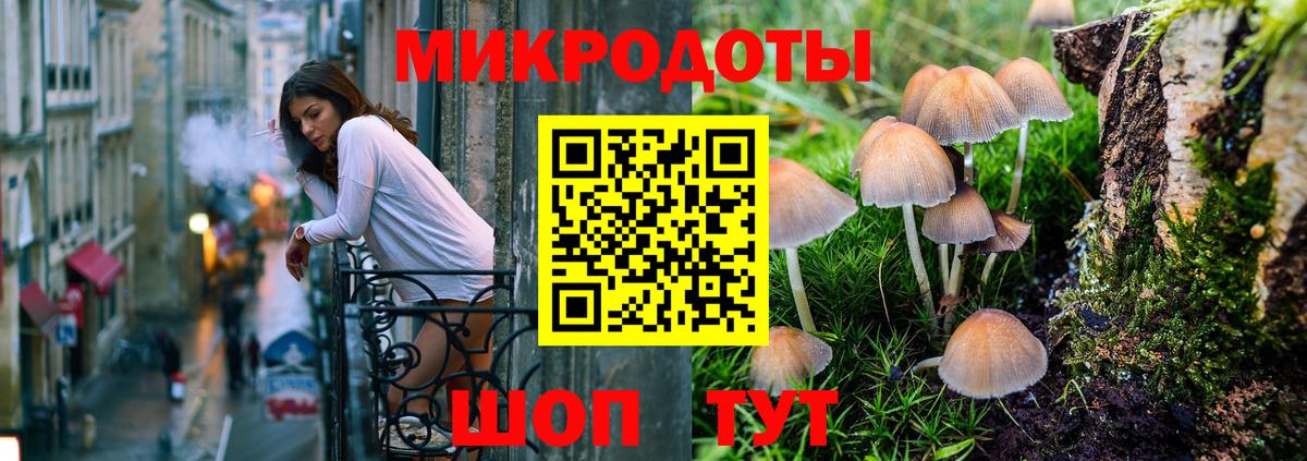 Королёв  Псилоцибиновые грибы MAGIC MUSHROOMS  Псилоцибиновые грибы Psilocybe  Вход с VPN 